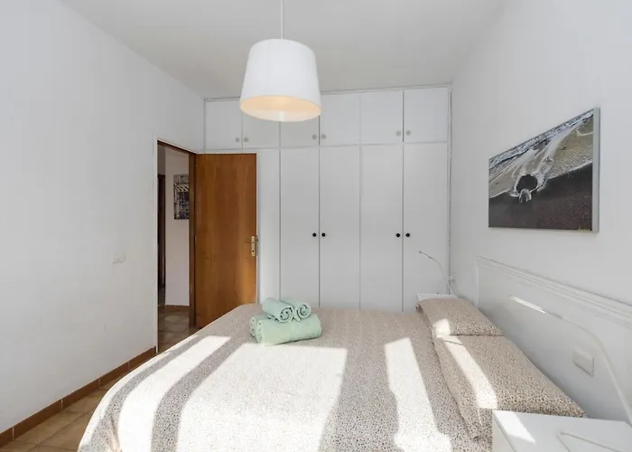 Medano4you The Triskel El Médano